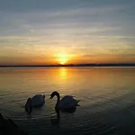 Balaton Wellness Apartment Siófok
