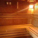 Balaton Wellness *