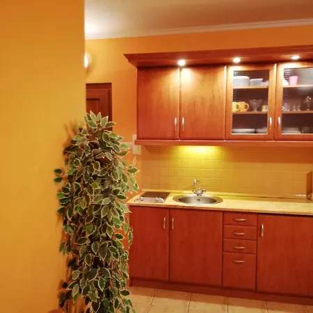 아파트 Balaton Wellness