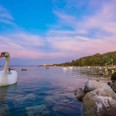 Balaton Wellness 아파트 시오포크