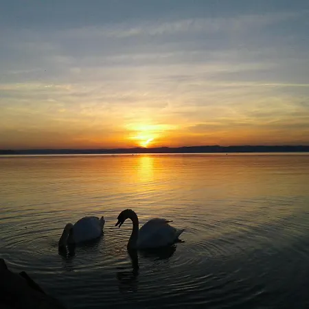 Balaton Wellness 아파트 시오포크