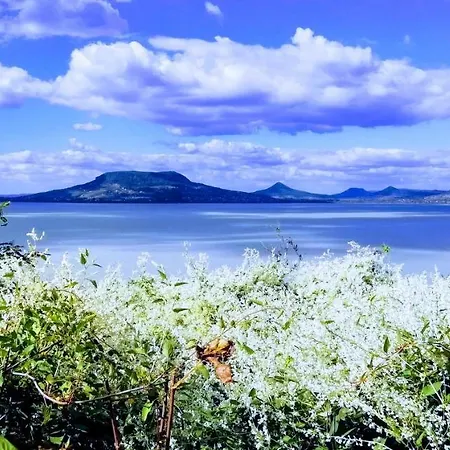 Balaton Wellness