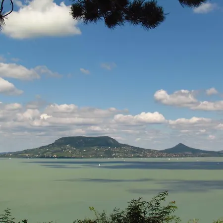 Balaton Wellness Apartment *