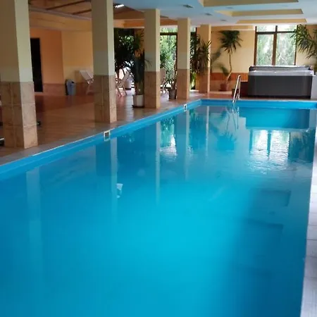 Balaton Wellness Apartment *