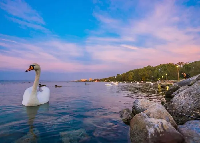 Balaton Wellness Apartman Siófok